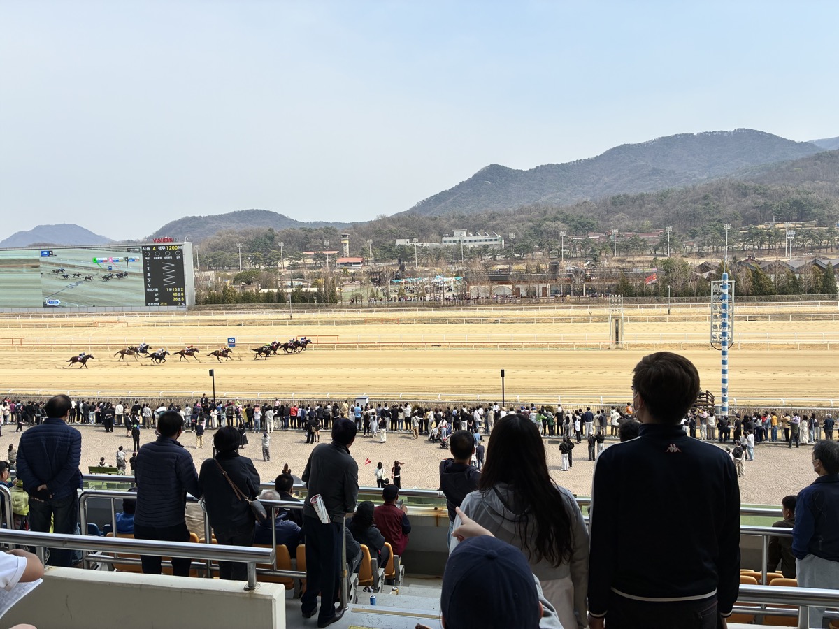 경마장 전경